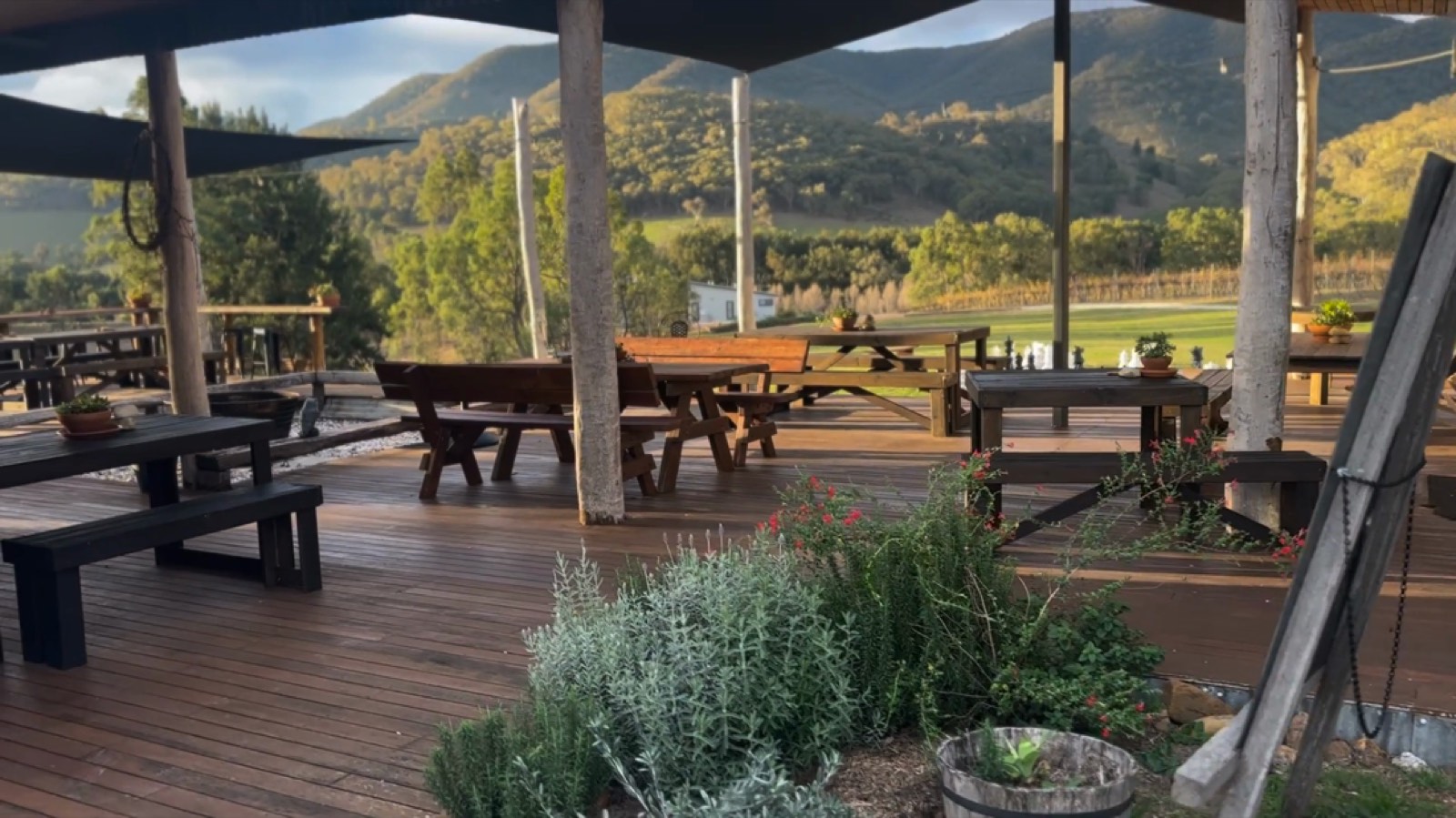 Golden hour at the Skimstone vineyard deck